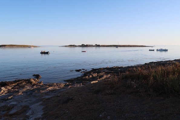 IMG_4639